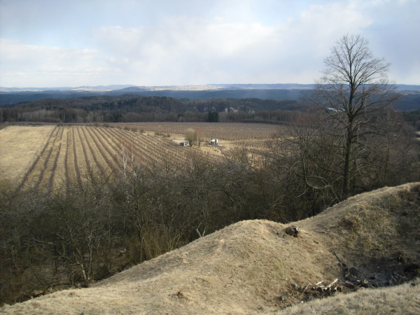 CIMG0138