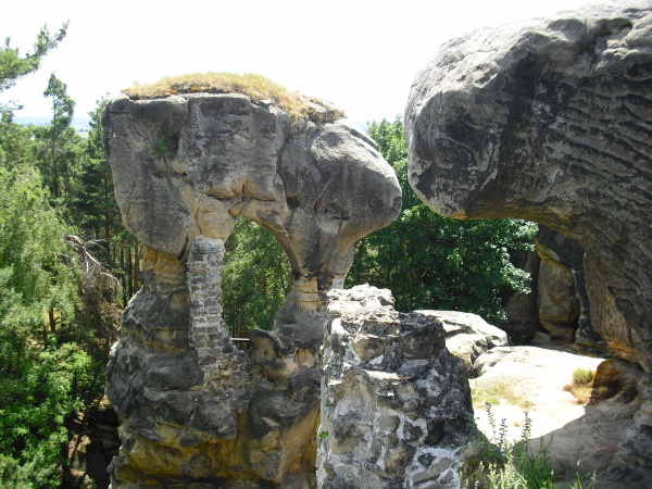 CIMG0126