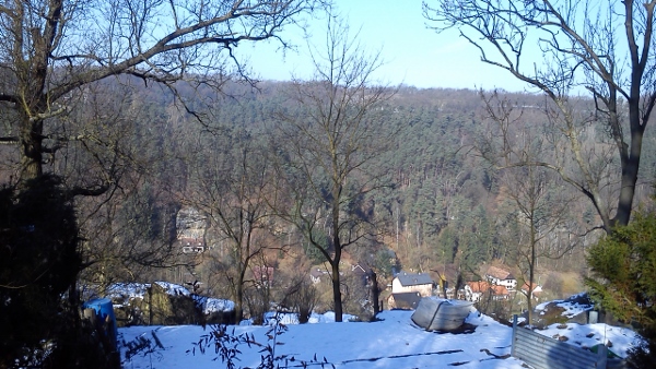 DSC_0001 (600x338)