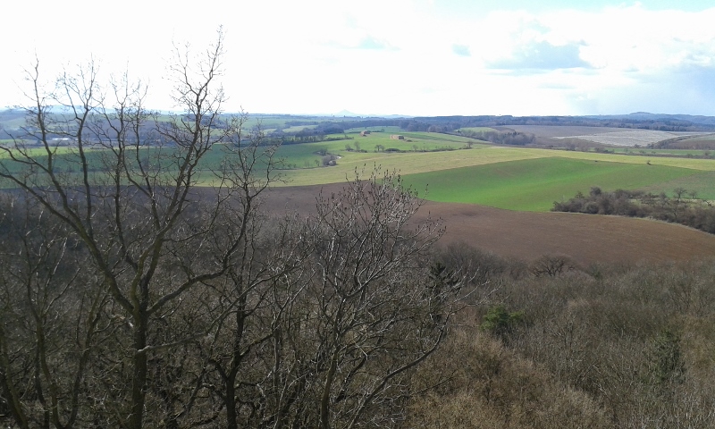 20150404_161652 (800x480)